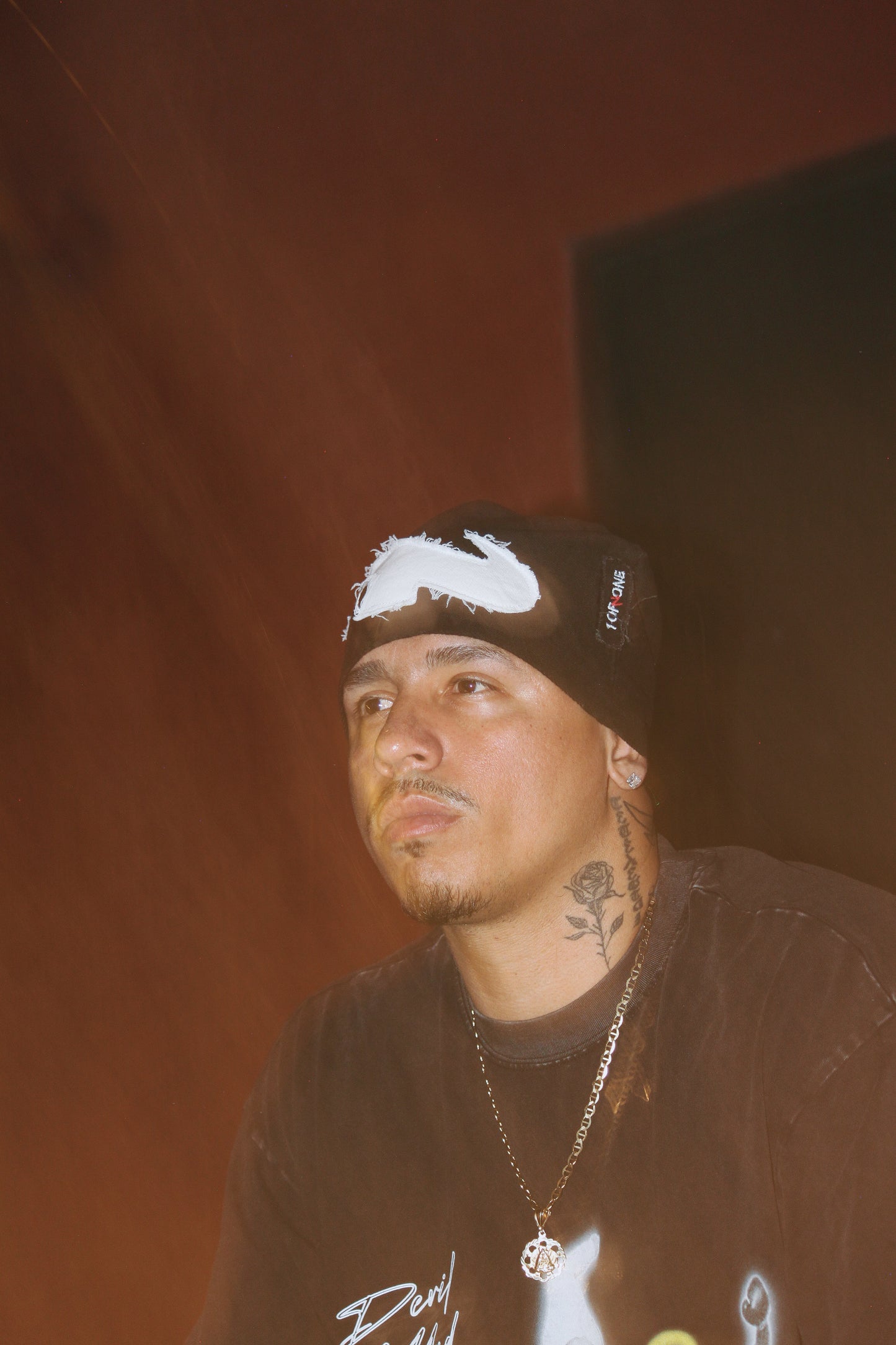 [split logo beanie]